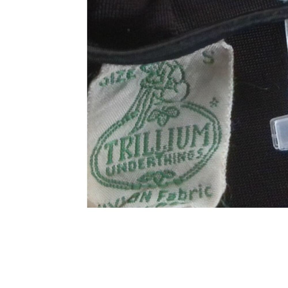 Vtg Trillium Brown Embroidered Slip Skirt Whimsigoth Fairy Coquette Ruffle Hem S - Picture 2 of 6